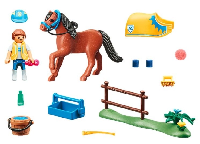 Alles voor de verzorging van de pony