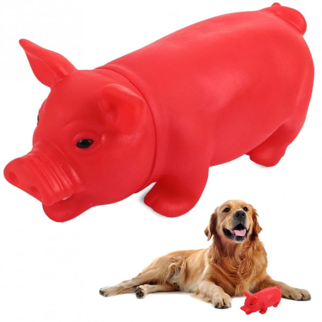 Piepend rubberen speelgoed voor honden in de vorm van een varken