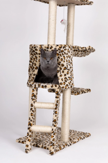 Kattenkrabpaal, huisje, boom, ligplaats, 138cm xl, Panther