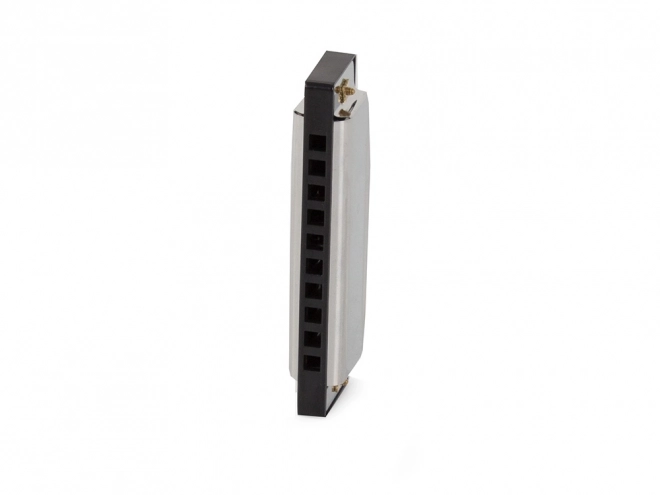 Metalen mondharmonica in C majeur met hoes