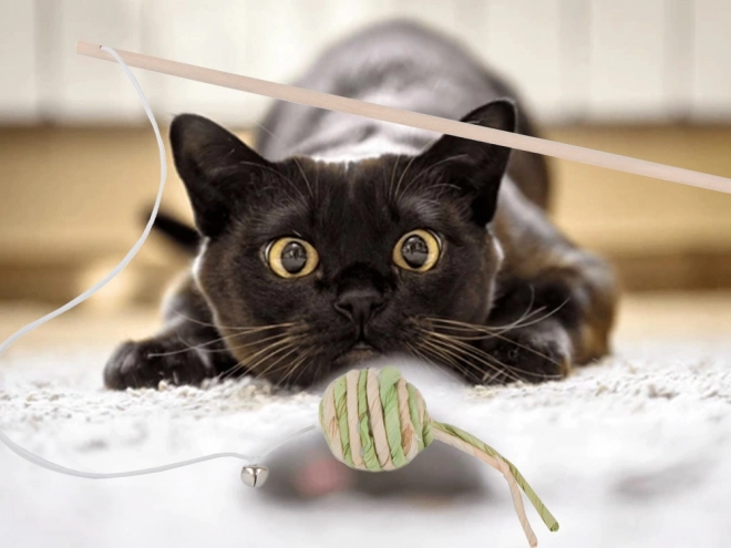 Kattenspeeltje vissershengel met rammelbal