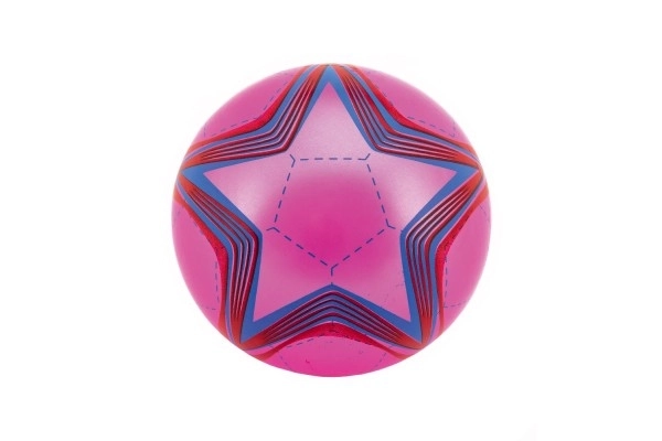 Opblaasbare gekleurde bal rubber 23cm mix kleuren in net
