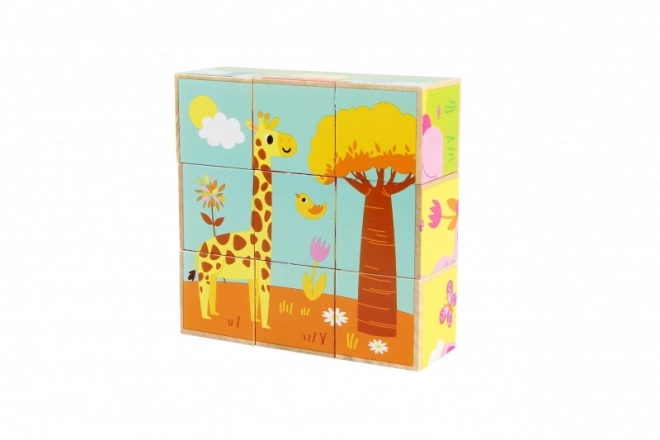 Houten Blokken Dieren Wild Gekleurd