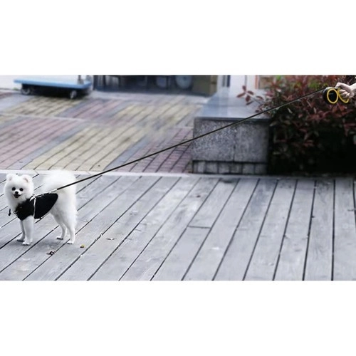 Automatische hondenriem 8m/50kg