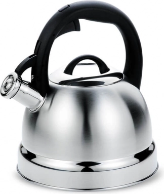 fluitketel 2,9 l maestro