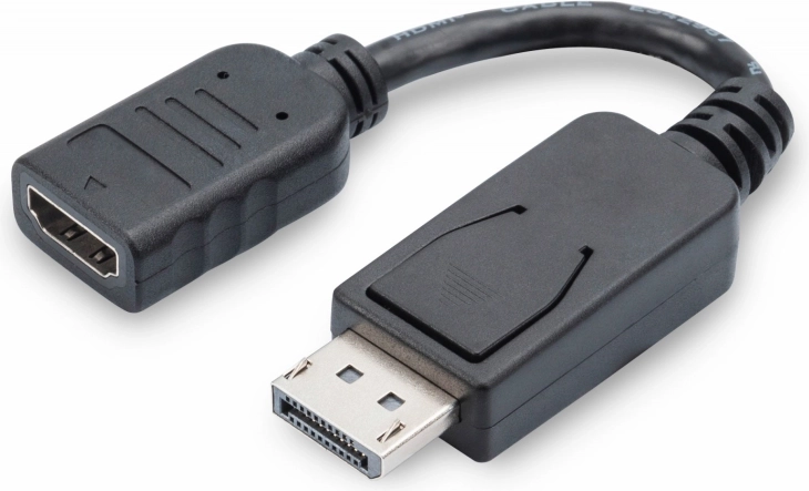 Adapter DisplayPort naar HDMI, 1080p 60 Hz, zwart, 0,15 m