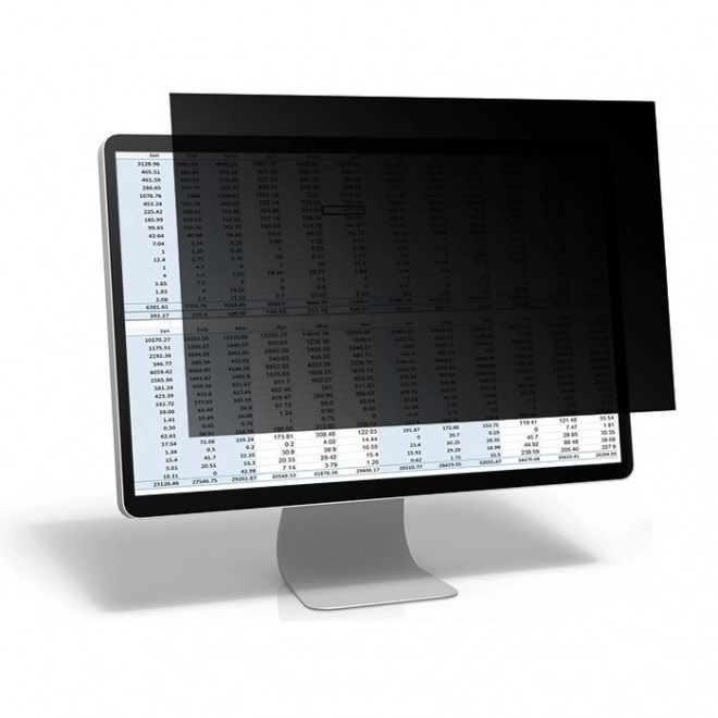 Privacyfilter 24 inch 16:10 zwart