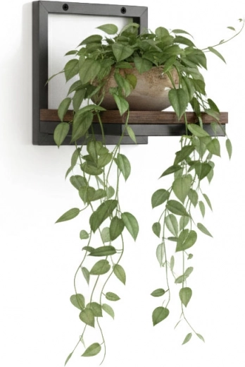 Praktische presentatie van planten en ruimtebesparing