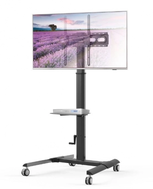Mobiele TV-standaard LCD/LED 32-70 inch met plank