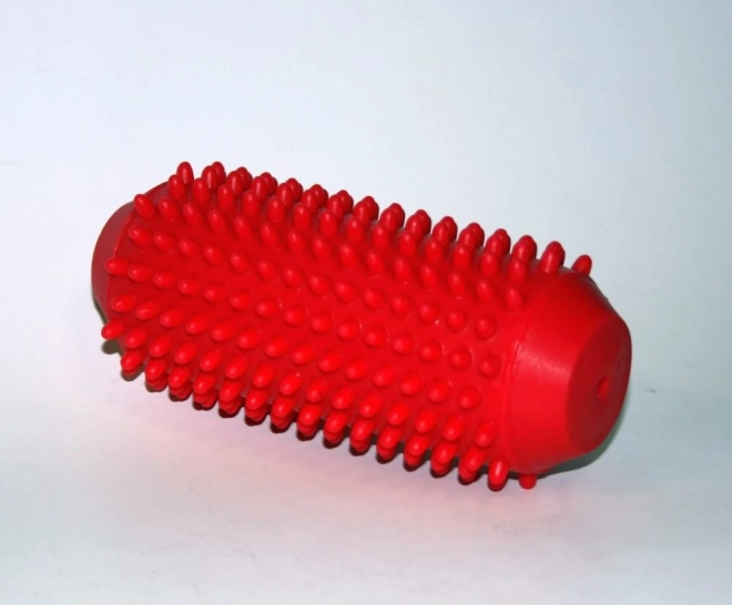 Antistress Massage Roller met Stekels