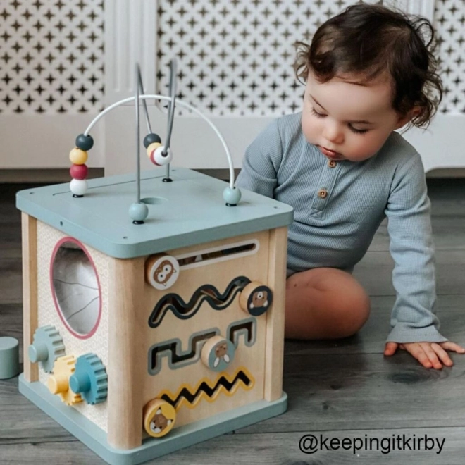 Bigjigs Baby Motorische Kubus