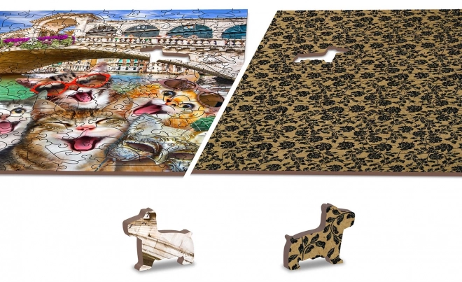 Houten puzzel kittens in Venetië 300 stukjes