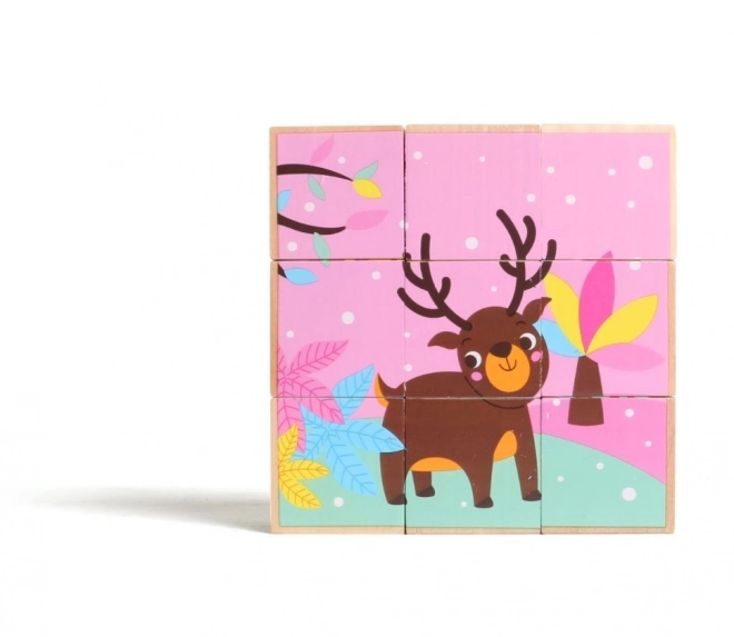 Houten Blokken Dieren Wild Gekleurd