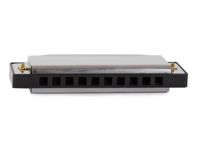 Metalen mondharmonica in C majeur met hoes