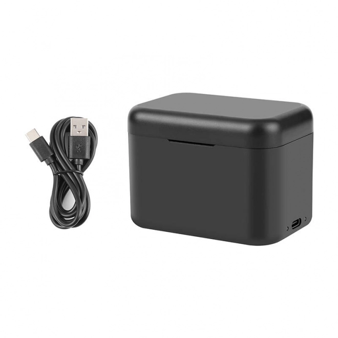 Oplaadcase voor batterijen en geheugenkaarten voor Insta360 X4 - zwart
