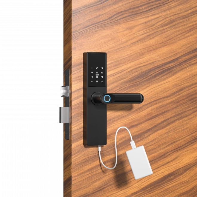 Intelligente Deurvergrendeling Tuya, Elektronisch Deurslot met vingerafdruk, code, Wi-Fi, RFID - zwart