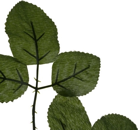 Realistische textuur en kleur