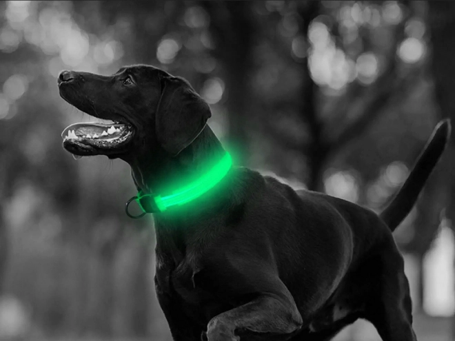LED oplichtende halsband voor honden en katten verstelbaar 59 cm