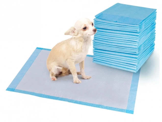 Absorberende pads voor honden 60x60 cm
