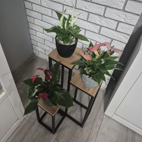 Ruhhy plantstandaard loft 3 niveaus