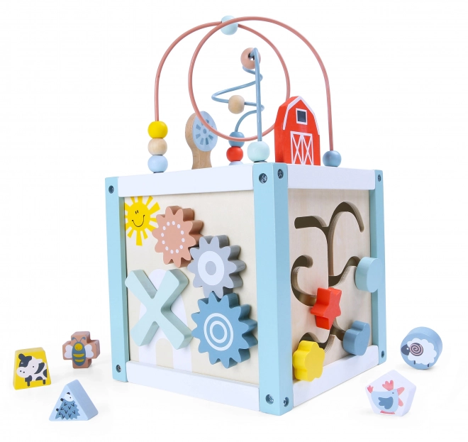 Houten blok sorteerkubus met blokken Ecotoys
