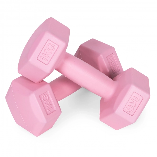 Roze halters 2x1 kg ModernHome