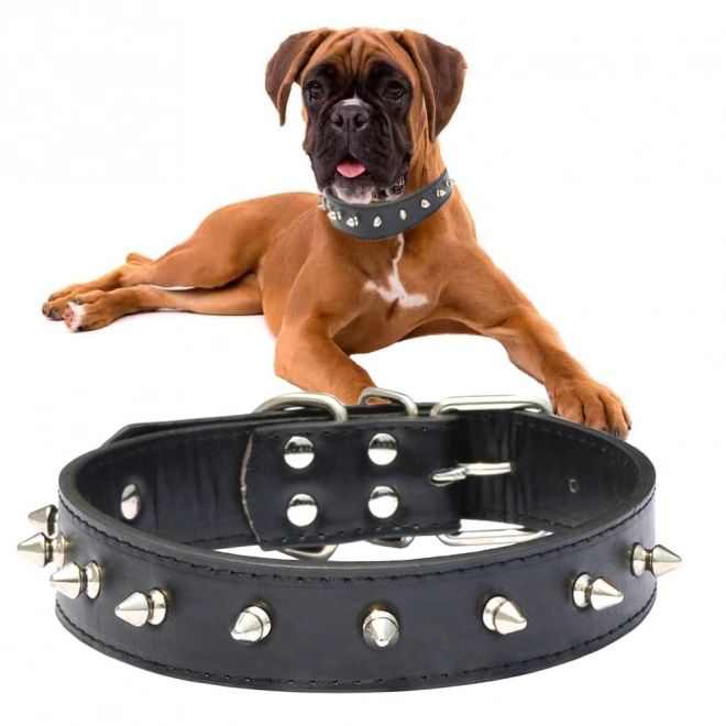 Stijlvolle hondenhalsband met studs