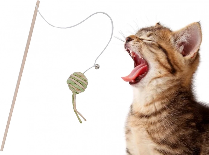 Kattenspeeltje vissershengel met rammelbal