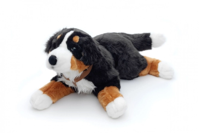Pluche Berner Sennenhond 65 cm