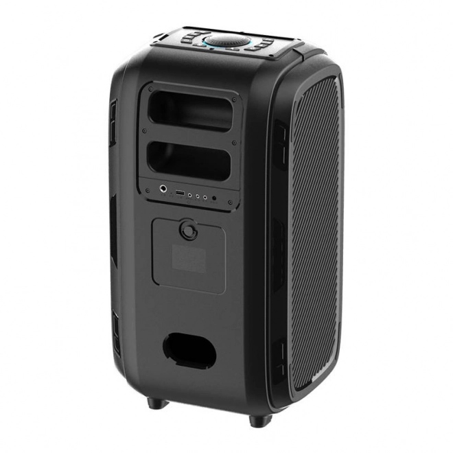 Draadloze Bluetooth-luidspreker W-KING T9 Pro 120W (zwart)