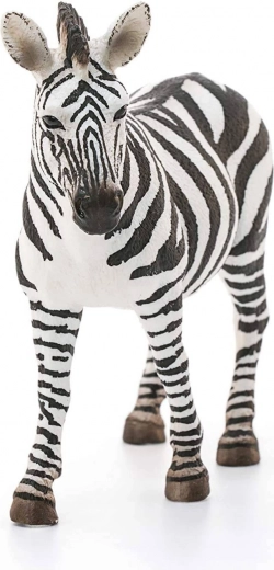 Ideaal voor collecties én educatie