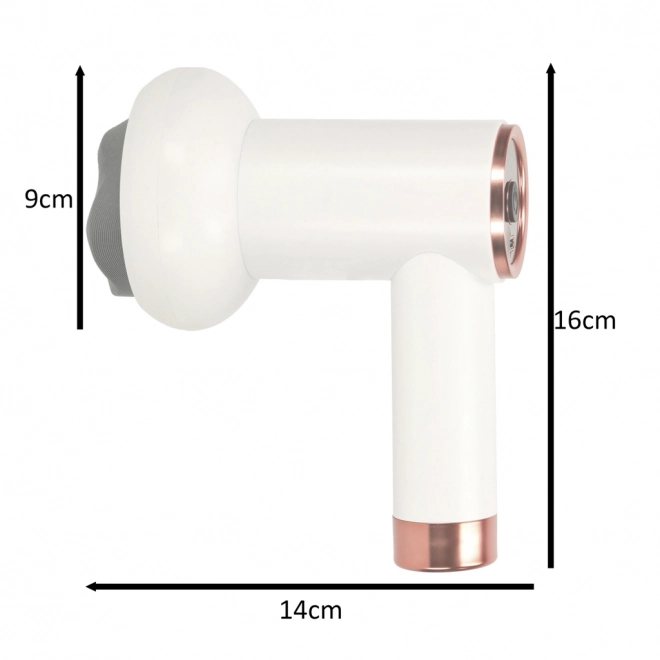 Massagepistool 5 in 1