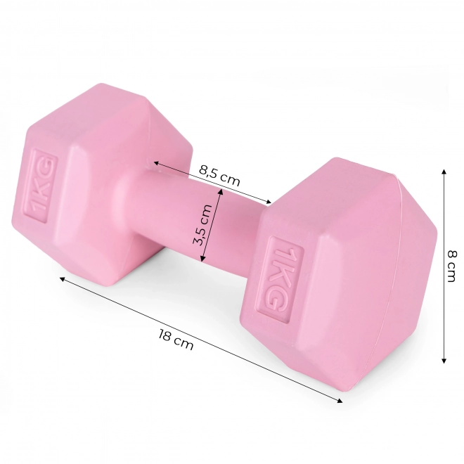 Roze halters 2x1 kg ModernHome