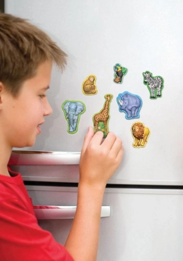 Koelkastmagneten voor dagelijks plezier