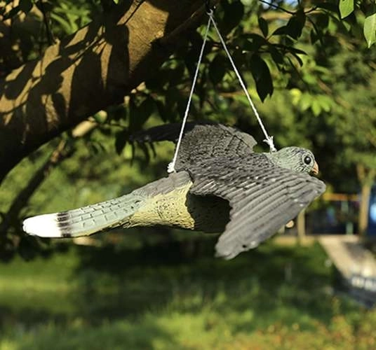 Namaak Slechtvalk - Vogelverschrikker
