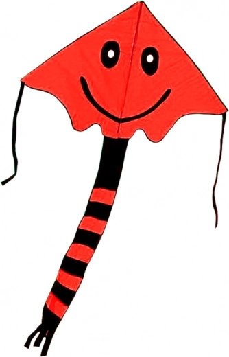 Stabiele vlucht en eenvoudige bediening