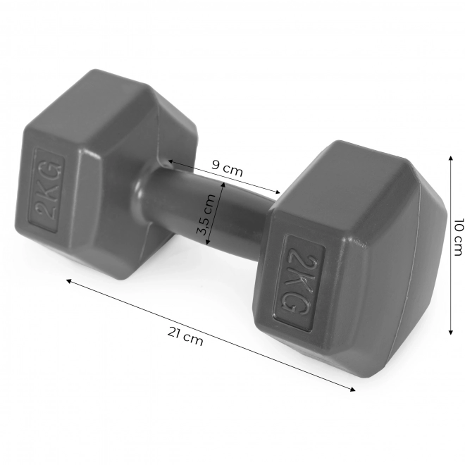 Hexagonale halters ModernHome 2x2 kg grijs
