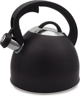 Fluitketel voor fornuis 2,5 l MAESTRO