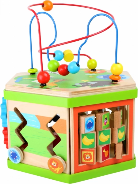 Multifunctionele activiteiten