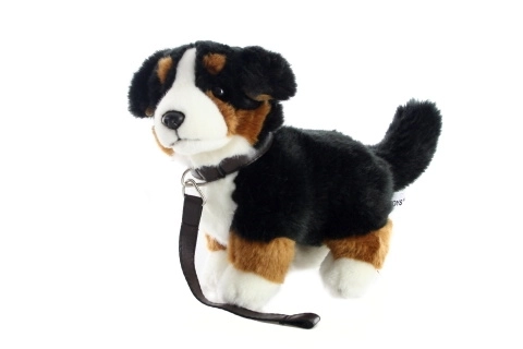 Pluche Berner Sennenhond met leiband 26 cm