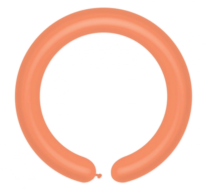 Opblaasbare modelleerballonnen - 100 stuks