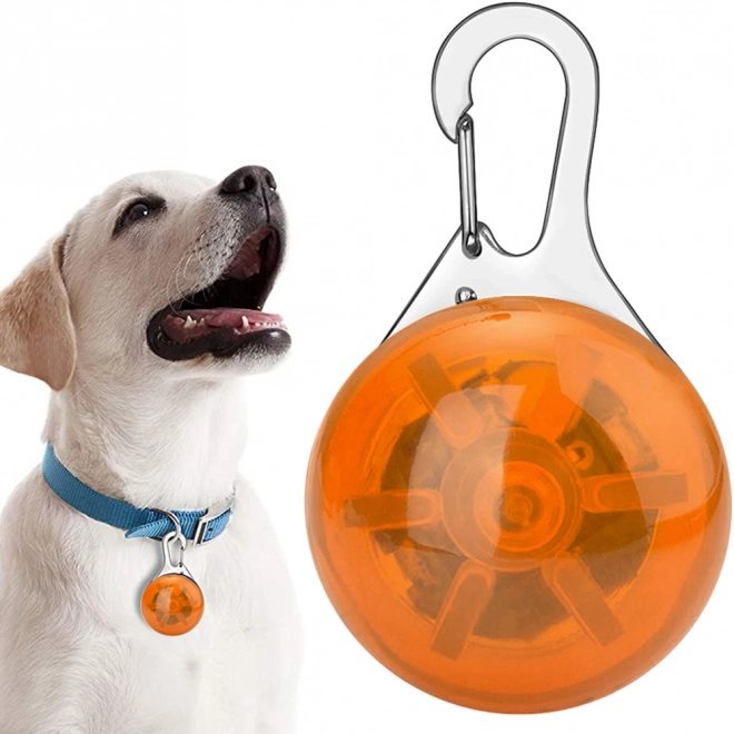 Lichtgevende hanger voor halsband van honden en katten