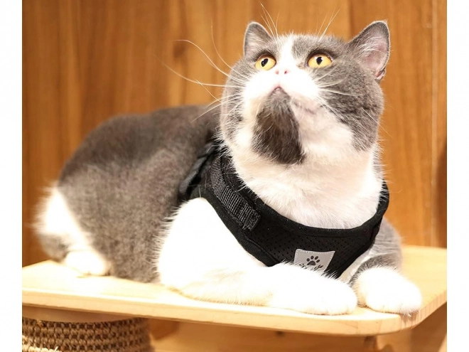 Drukvrije harnas voor honden en katten met reflecterende elementen XS