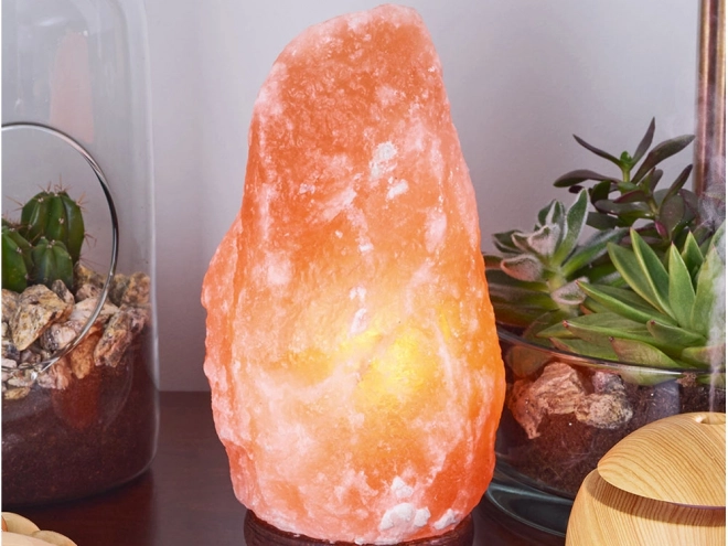 Grote Himalaya zoutlampionisator