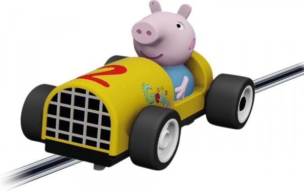 Eenvoudige bediening voor kleine racers