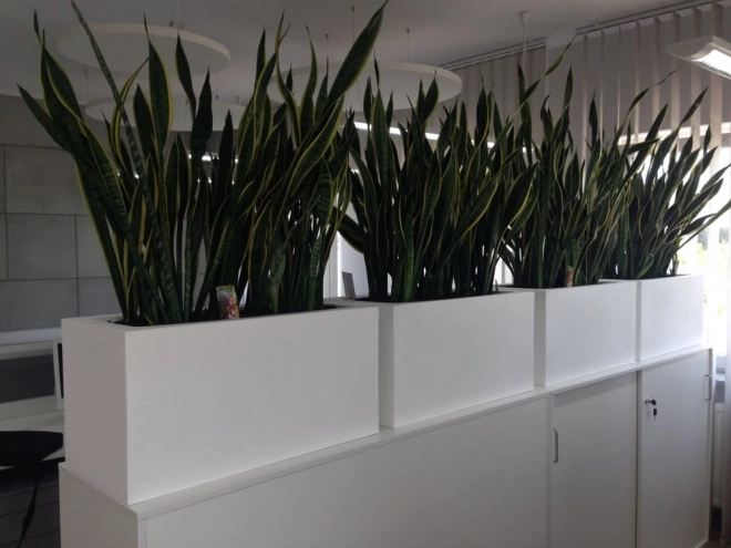 Monumo Lungo witte bloempot