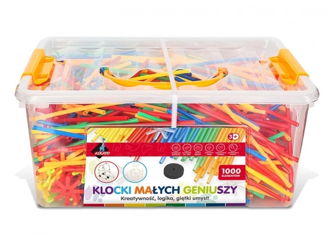 Constructieset Kleine Genieën - Kleine Rietjes