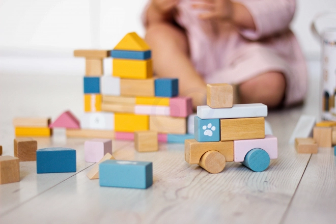 Houten bouwpakket 60 blokken