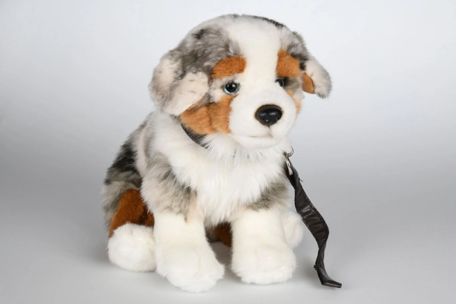Pluche Australische Herder met Riem
