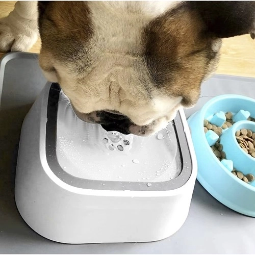 Honden- en kattenwaterkom Purlov met cadeau
